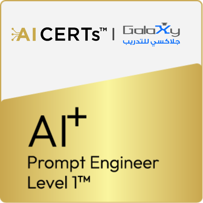 Prompt Level 1